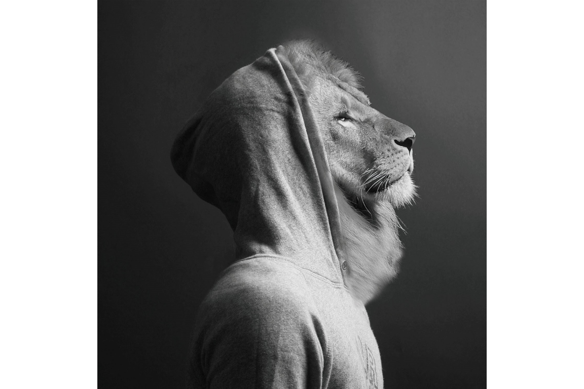 Lion In Hoodie Wall Art - Mini
