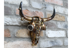 Steampunk Skull