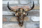 Steampunk Skull