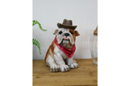 Cowboy Bulldog