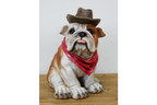 Cowboy Bulldog