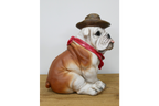 Cowboy Bulldog