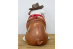 Cowboy Bulldog