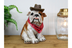Cowboy Bulldog