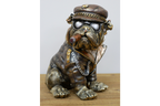 Smoking Bulldog
