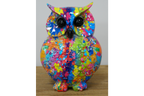 Colourful Owl