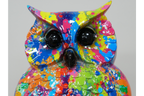 Colourful Owl