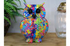 Colourful Owl