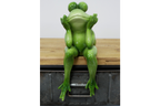 Sitting Frog