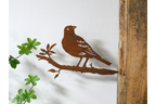 Rusty Bird Spike