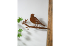 Rusty Bird Spike