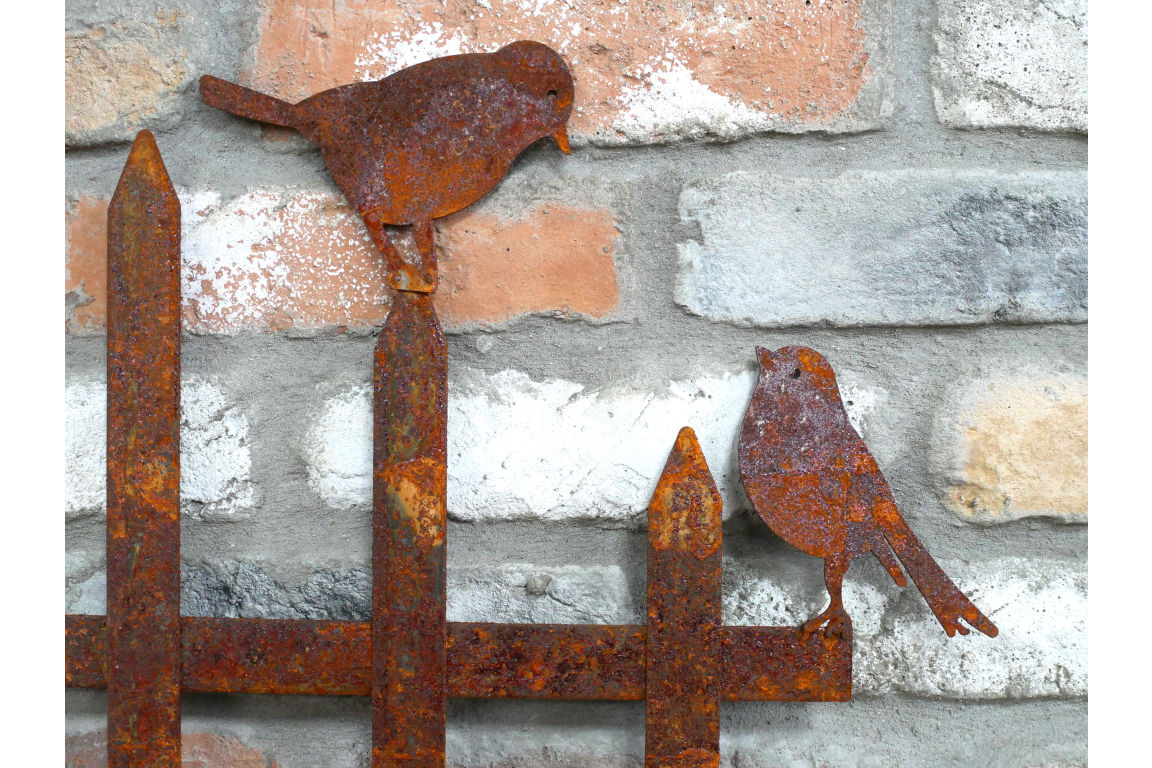 Rusty Fence With Birds Stake
