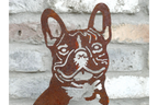 Rusty Dog