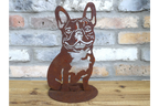 Rusty Dog