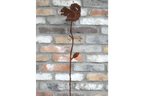 Rusty Squirrel Stake