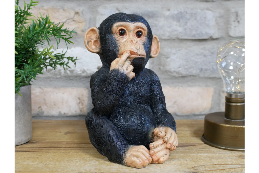 Finger In Mouth Monkey - Small