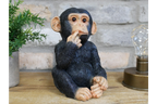 Finger In Mouth Monkey - Small