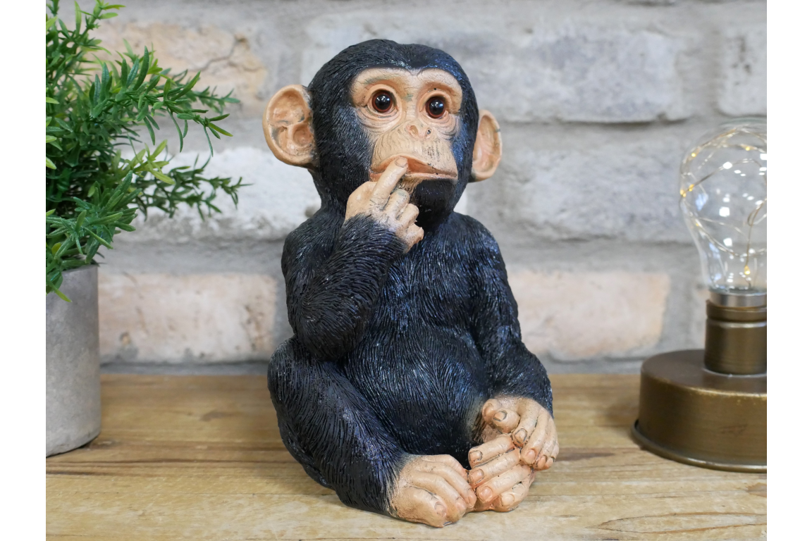 Finger In Mouth Monkey - Small