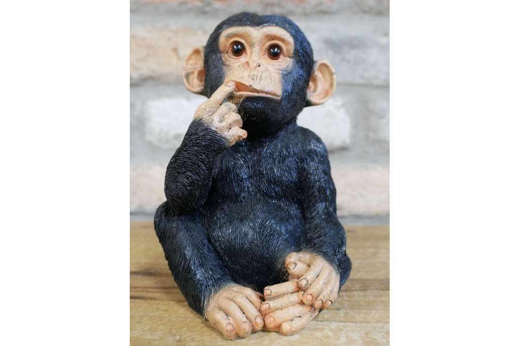Finger In Mouth Monkey - Small