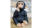 Finger In Mouth Monkey - Small