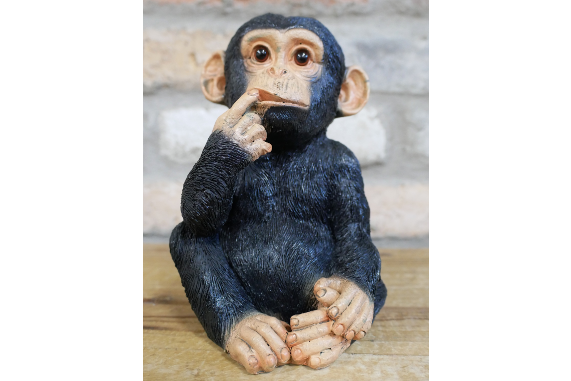 Finger In Mouth Monkey - Small