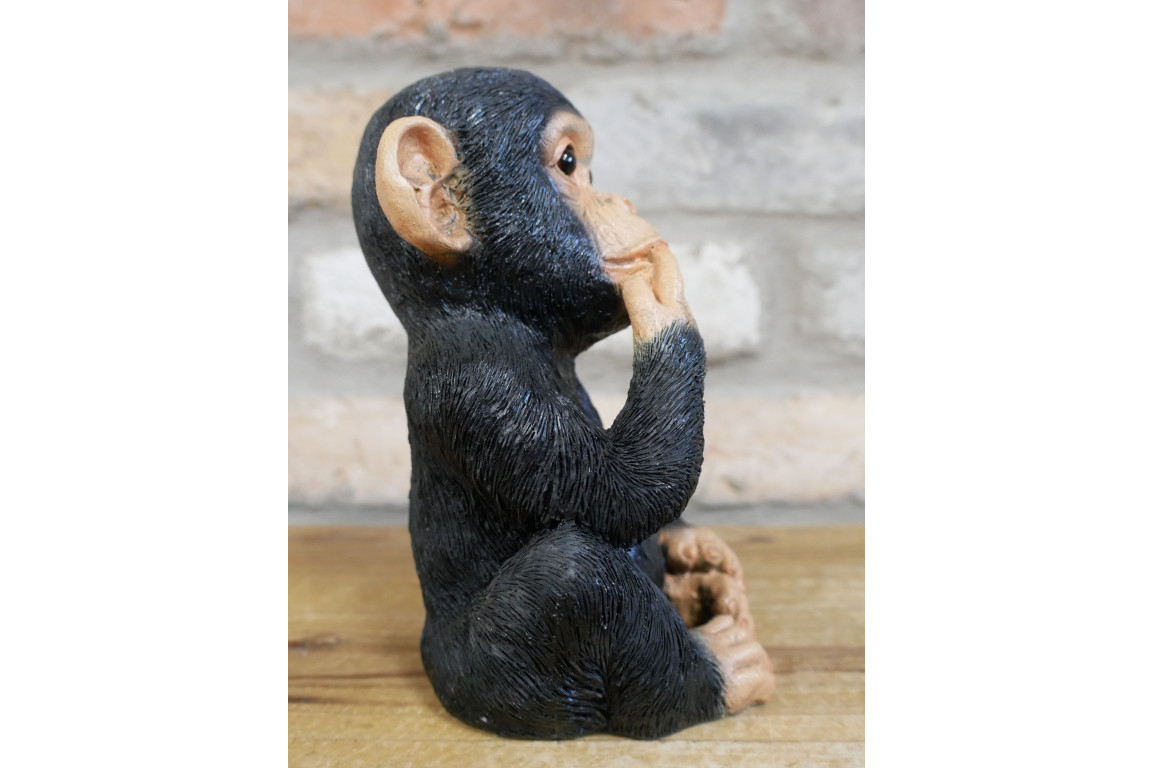 Finger In Mouth Monkey - Small
