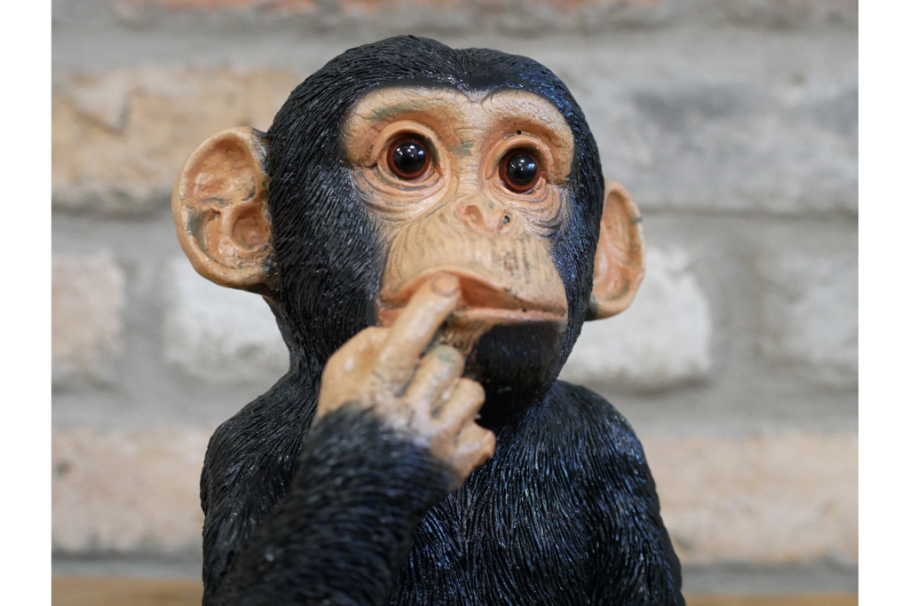 Finger In Mouth Monkey - Small