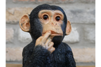 Finger In Mouth Monkey - Small