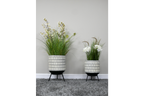 Set Of 2  Monochrome Planters