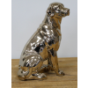 Golden Dog