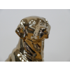 Golden Dog