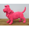 Pink Dog