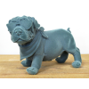 Blue Dog