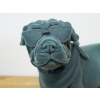 Blue Dog