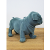 Blue Dog