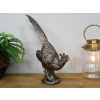 Pheasant