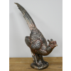 Pheasant