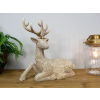 Laying Stag