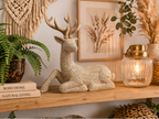 Laying Stag