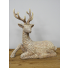 Laying Stag