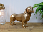 Gold Sausage Dog