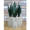 Planter & Artificial Plants