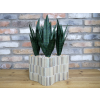 Planter & Artificial Plants