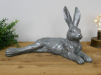 Laying Hare