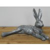 Laying Hare