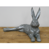 Laying Hare