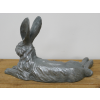 Laying Hare