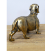 Sausage Dog