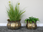 Set Of Two Planters