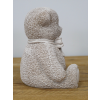 Teddy Bear - Cream